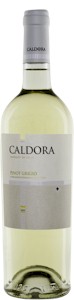 Caldora Pinot Grigio Terre Siciliane IGP - Buy