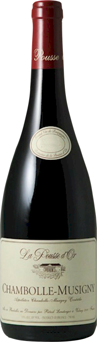 Pousse dOr Chambolle Musigny 2017