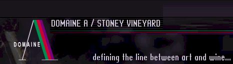 Stoney Vineyard